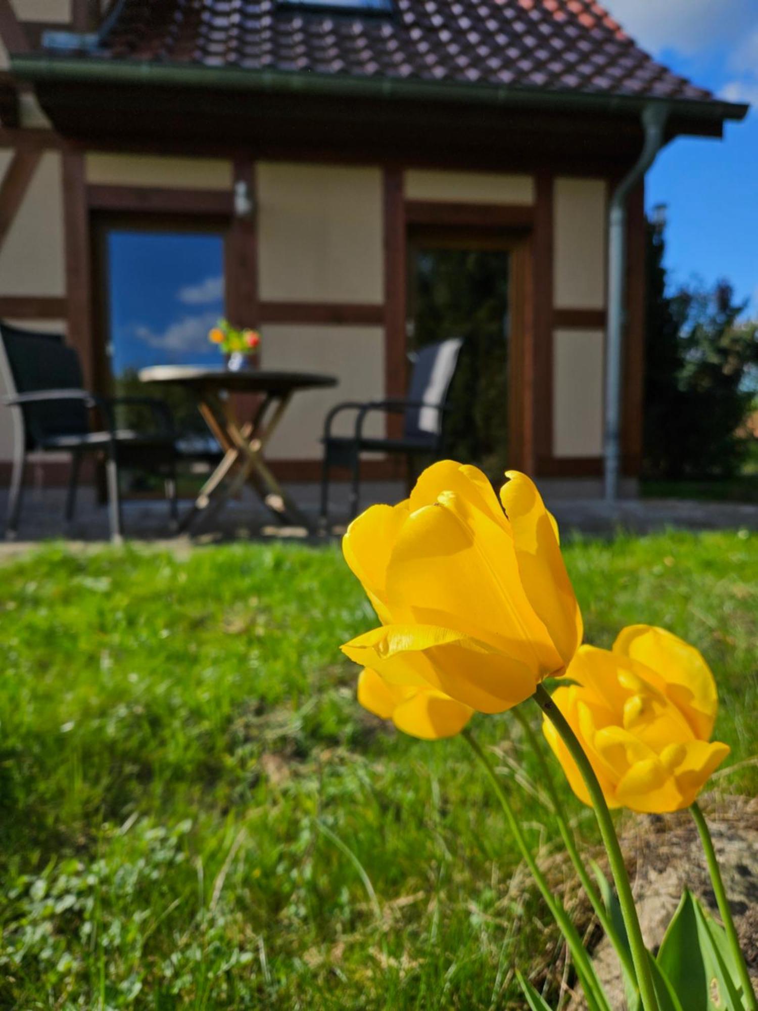 Ferienwohnung Peetsch Am See Mirow Exterior foto